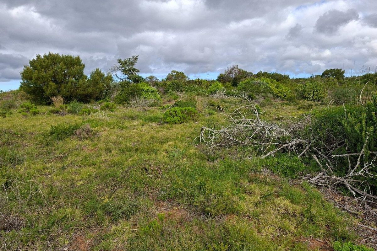 An expansive view of the natural, undeveloped farm landscape featuring indigenous vegetation and shrubs under a cloudy sky.