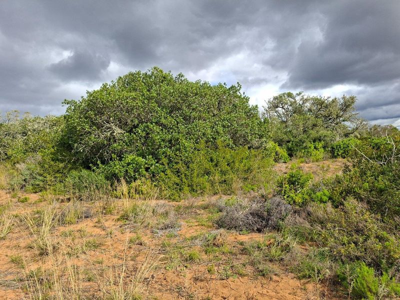Farm For Sale in Riversdale Rural, Riversdale - Photo 9