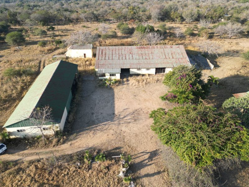 Farm in Guernsey - Photo 10