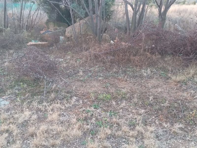 Build Your Dream Lifestyle at the Vaaldam! - Photo 2