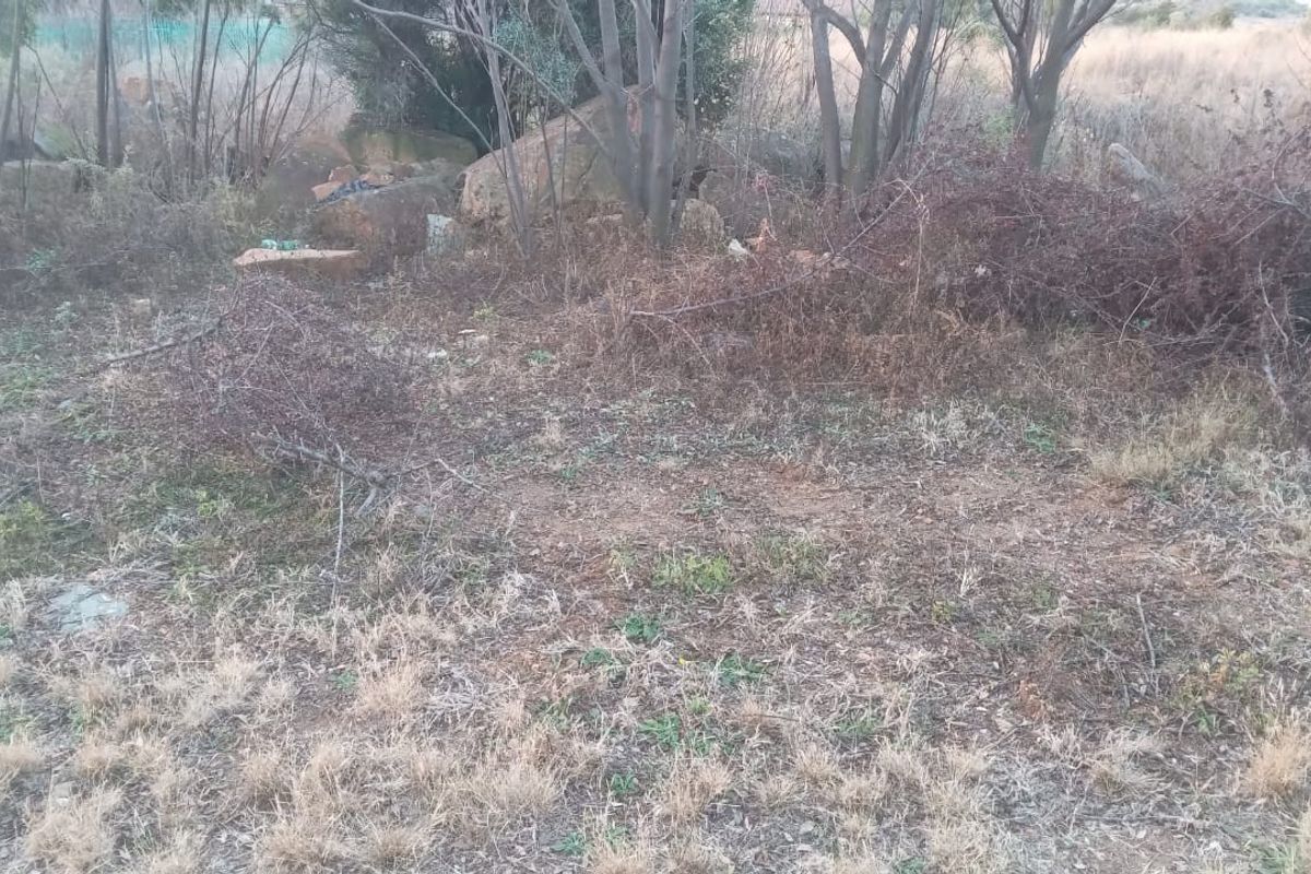 A view of the undeveloped residential land featuring natural vegetation, mature trees, and rock formations on the property.