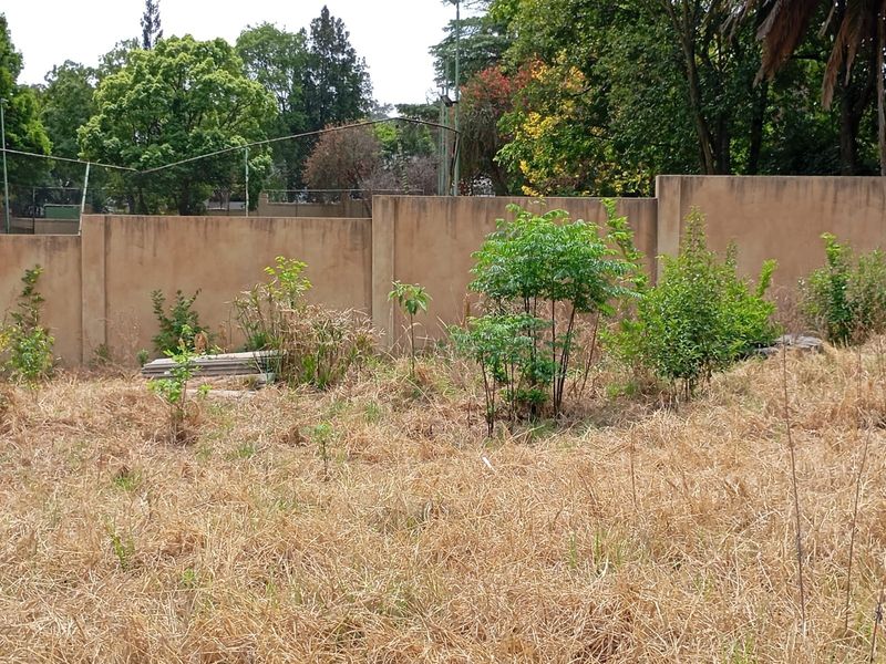 NEW OFF-PLAN DEVELOPMENT - 8 EXCLUSIVE 4-5 BEDROOM FREEHOLD CLUSTERS - Photo 6