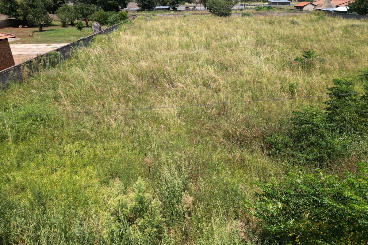 An elevated view of a large, undeveloped residential plot featuring overgrown grass and enclosed by perimeter walls.