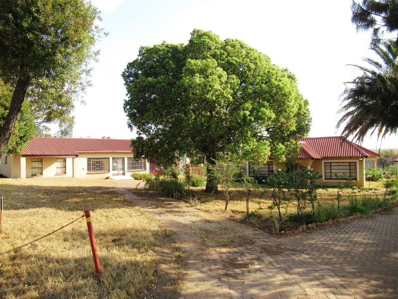 Rear view of the small holding property featuring a large mature tree, paved pathways, and single-story buildings with corrugated metal roofing.