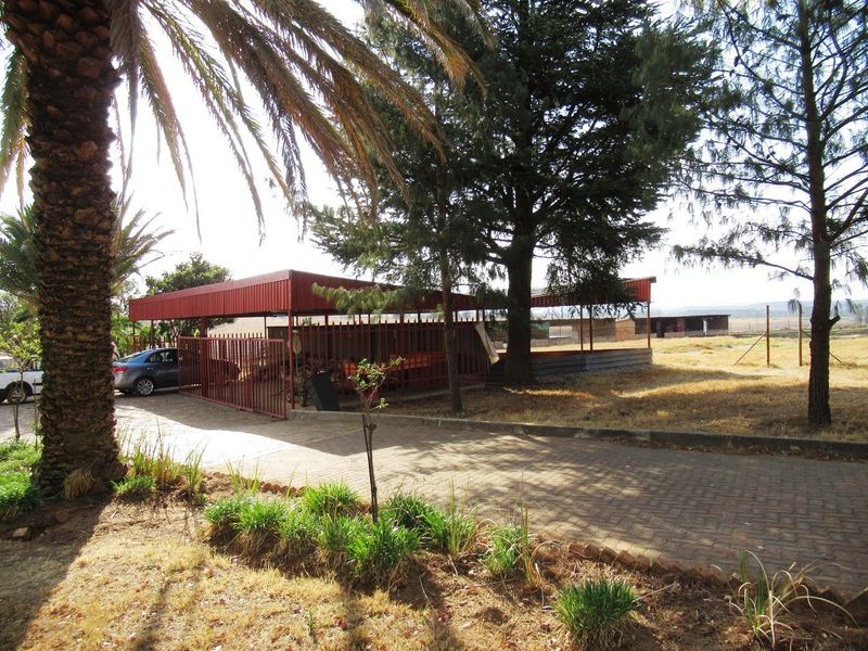 Outdoor area featuring a large metal carport structure, paved driveway, and established trees on a small holding property.