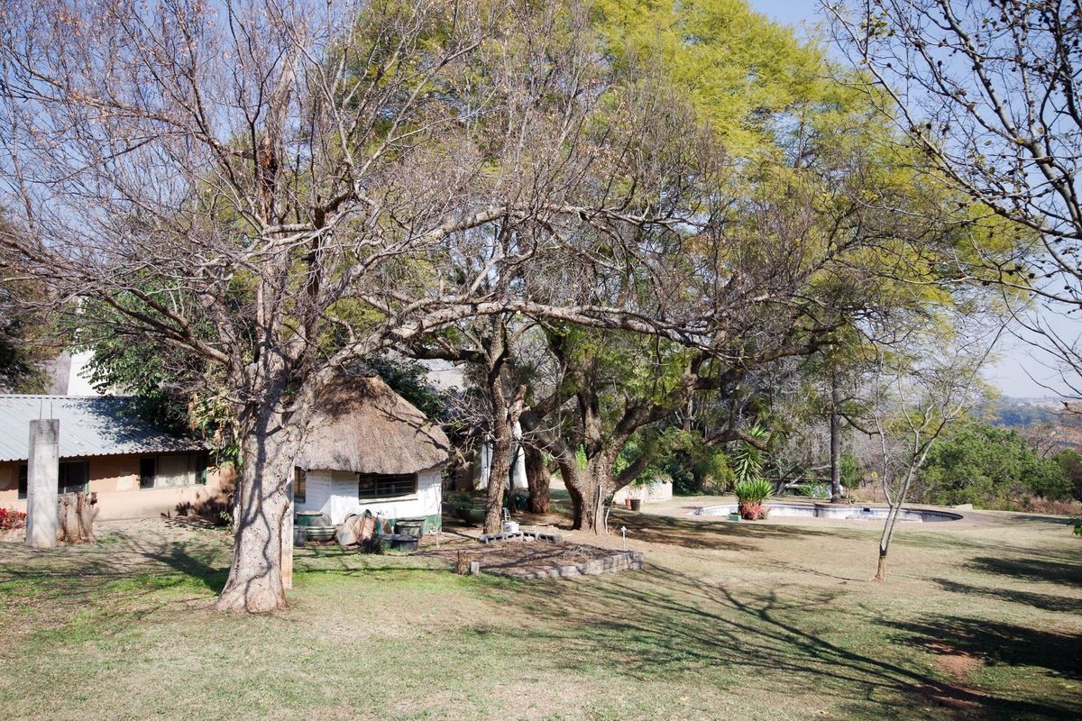 Rear garden view featuring a small thatched structure, mature trees, and a swimming pool set within a natural farm landscape.