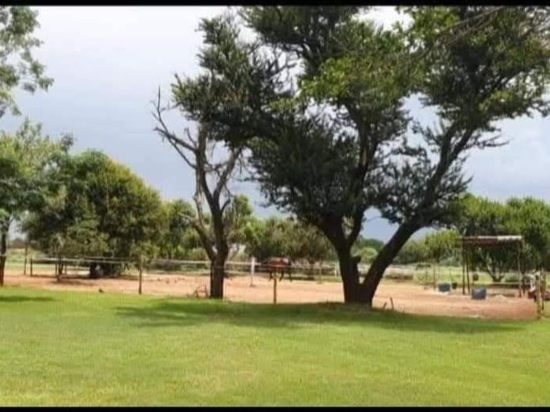 Income Generating Equestrian Farm For Sale in Tarlton, Krugersdorp - Photo 10