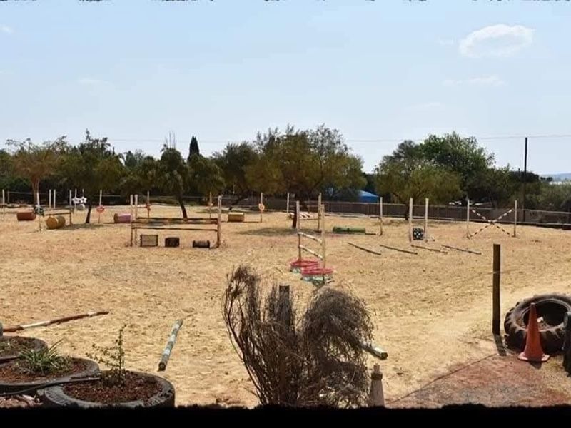Income Generating Equestrian Farm For Sale in Tarlton, Krugersdorp - Photo 8