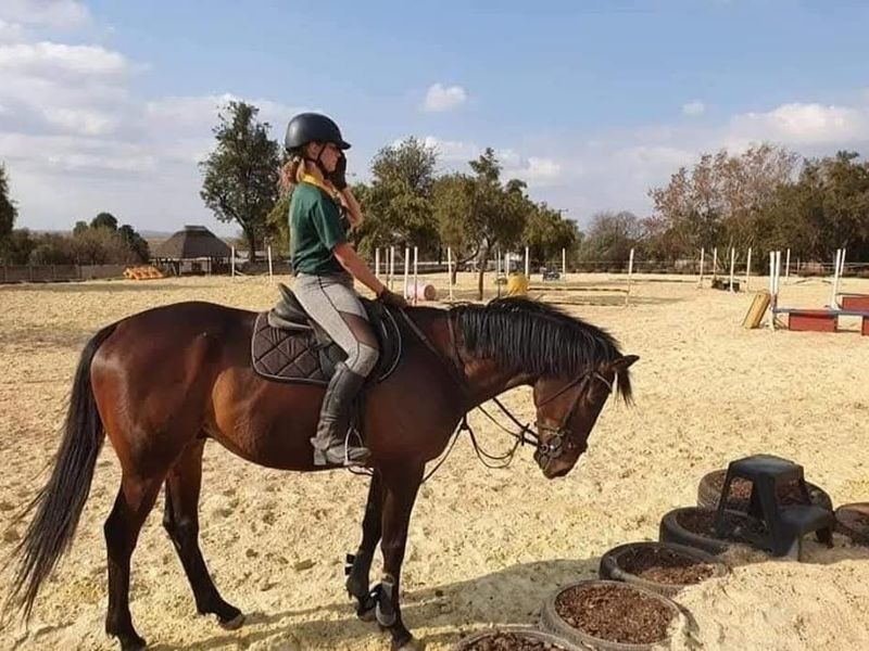 Income Generating Equestrian Farm For Sale in Tarlton, Krugersdorp - Photo 7