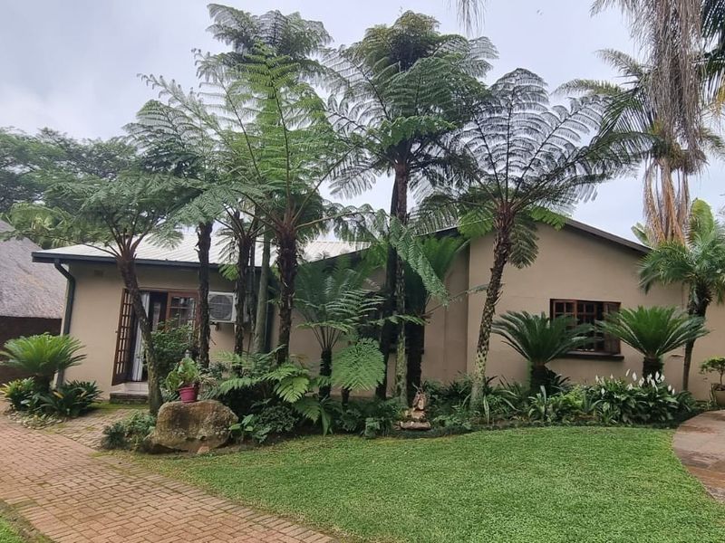 Commercial Macadamia and Citrus Farm in the Heidelberg area, White River - Photo 10