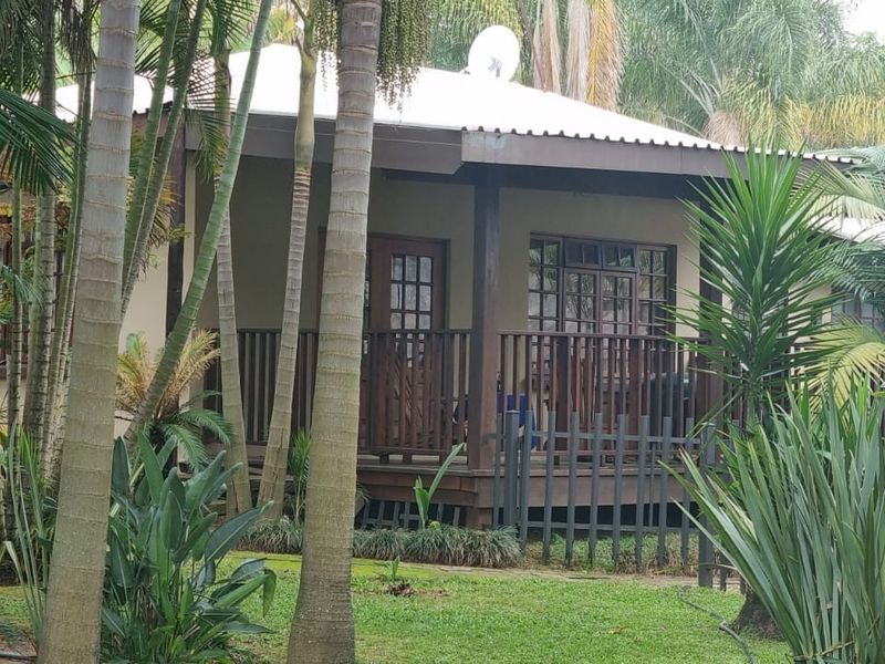 Commercial Macadamia and Citrus Farm in the Heidelberg area, White River - Photo 8