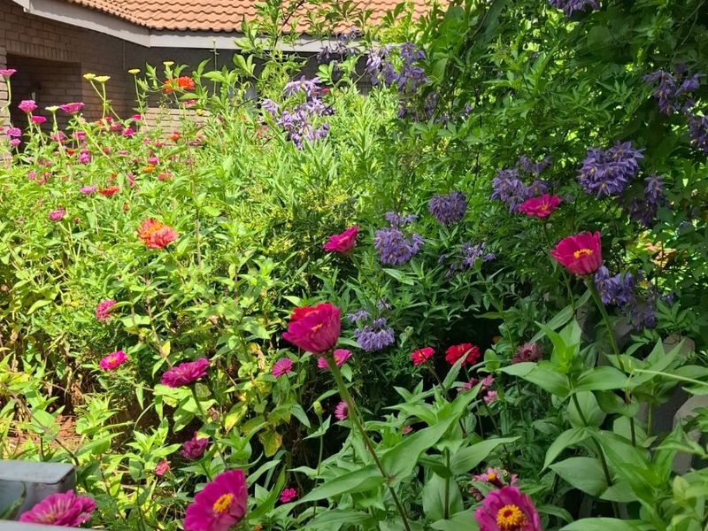 A vibrant garden area featuring lush flowering plants and shrubs, with a partial view of the home's brick exterior and tiled roof.