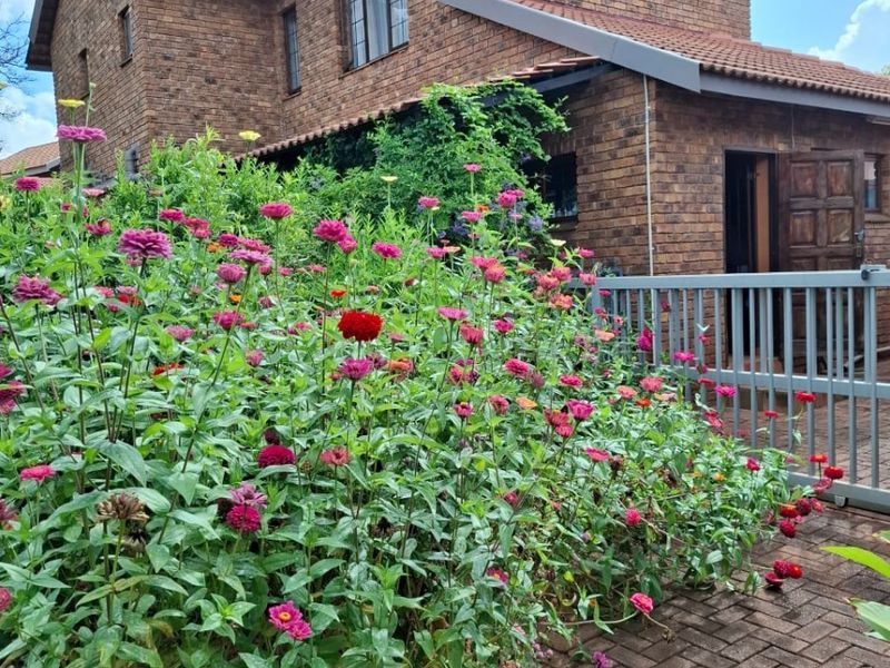 Rear view of a double-story face brick house featuring a paved patio area and established garden beds.
