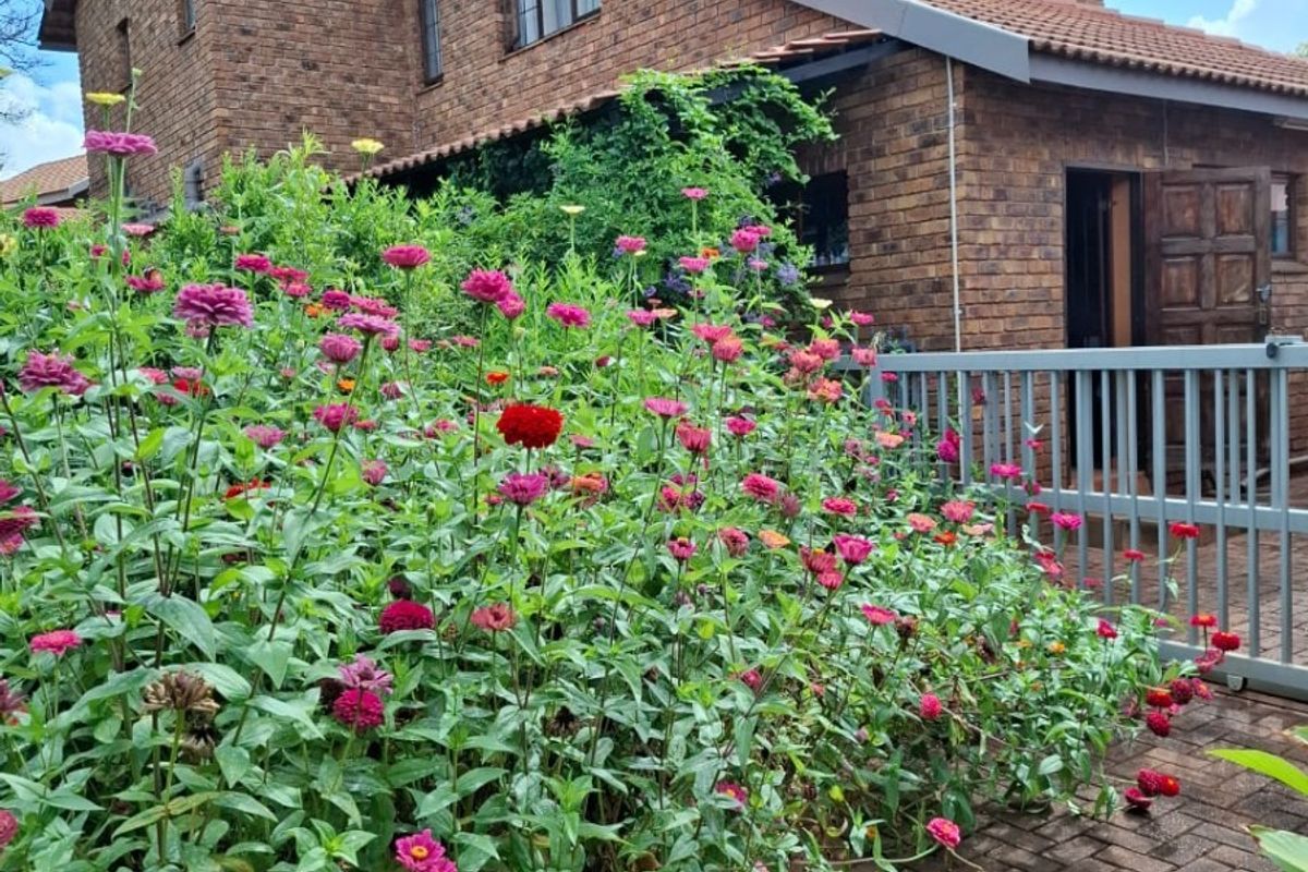 Rear view of a double-story face brick house featuring a paved patio area and established garden beds.