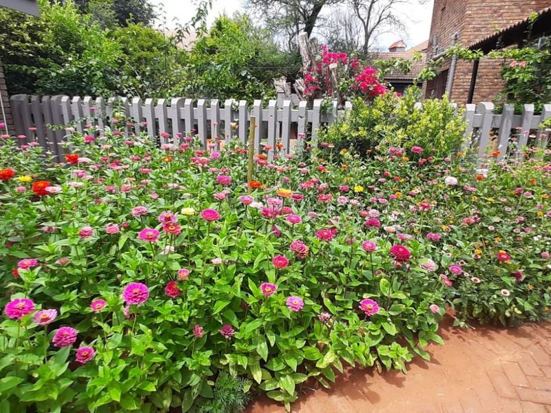 A well-maintained garden area featuring vibrant flower beds, brick paving, and a classic picket fence bordering the property.
