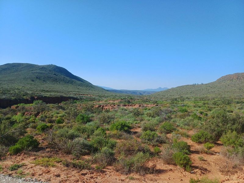 Farm For Sale in Van Wyksdorp, Ladismith - Photo 7