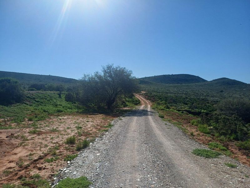 Farm For Sale in Van Wyksdorp, Ladismith - Photo 6