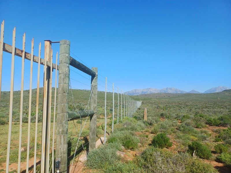 Farm For Sale in Van Wyksdorp, Ladismith - Photo 3