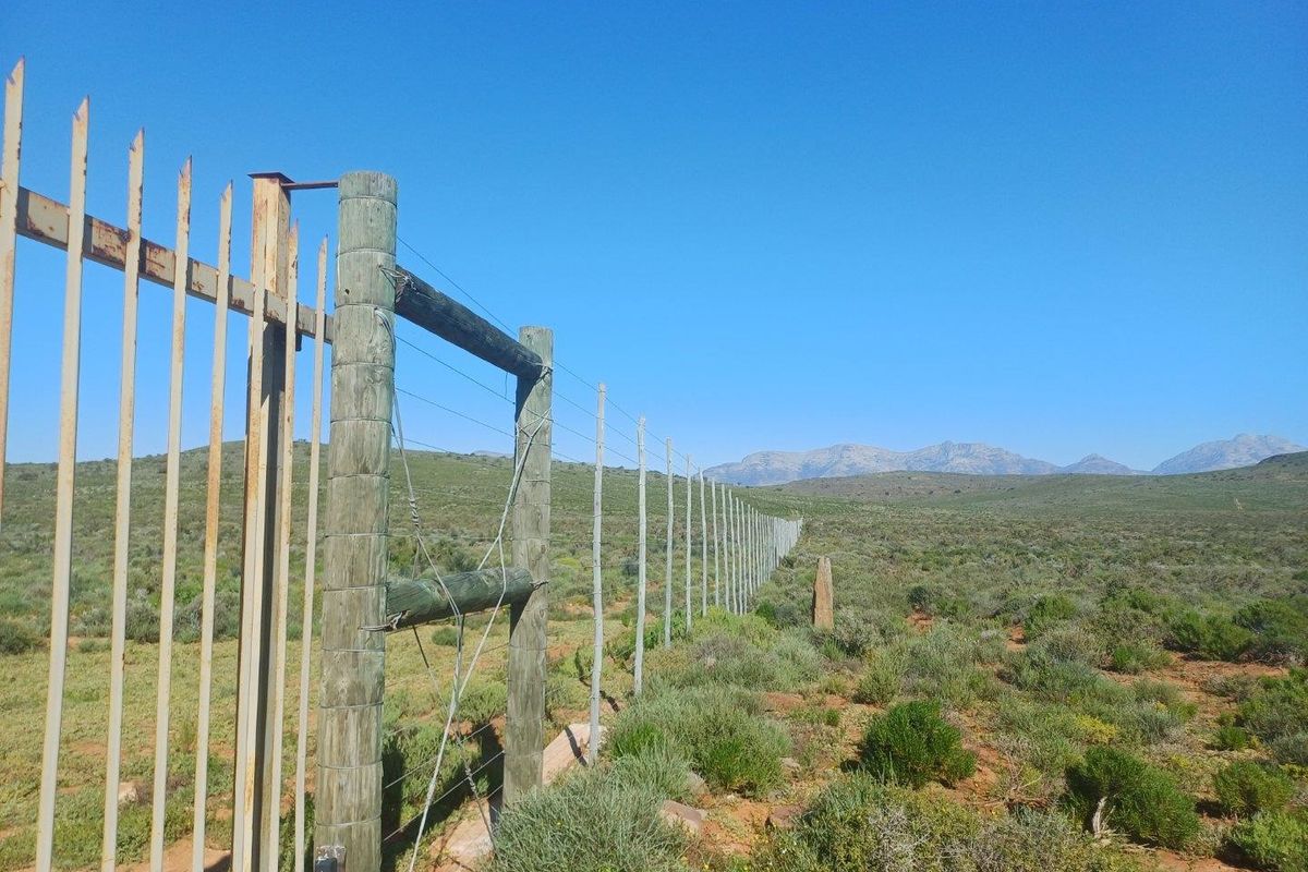 A view of the farm boundary featuring timber post and wire fencing with a metal security gate, set against a mountain landscape.