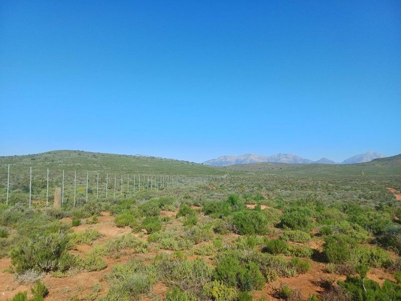 Farm For Sale in Van Wyksdorp, Ladismith - Photo 4