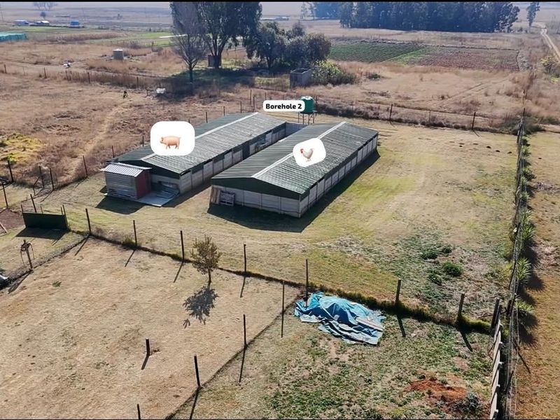 Farm with 2  houses  For Sale in Delmas Industrial Randfontein Gauteng - Photo 10