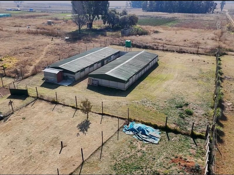 Farm with 2  houses  For Sale in Delmas Industrial Randfontein Gauteng - Photo 7