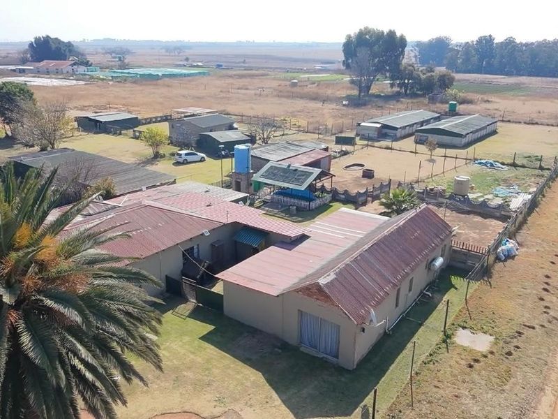 Farm with 2  houses  For Sale in Delmas Industrial Randfontein Gauteng - Photo 4