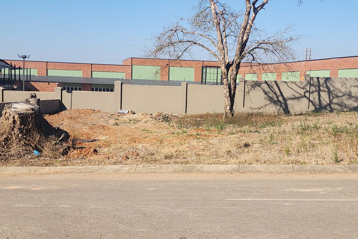 A vacant residential plot featuring a perimeter wall, mature tree, and direct access to a paved road.