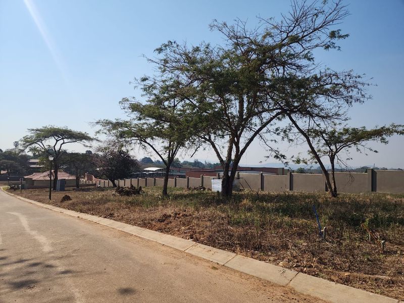 A street-level view of a vacant residential plot featuring established trees, a concrete perimeter wall, and paved road access.