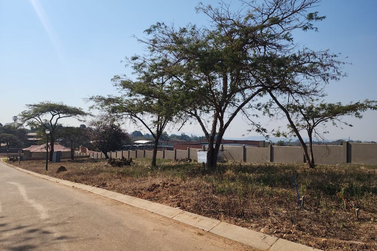 A street-level view of a vacant residential plot featuring established trees, a concrete perimeter wall, and paved road access.