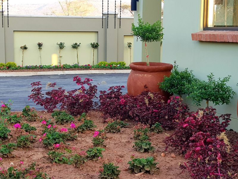 A well-maintained garden area featuring landscaped flower beds, a paved driveway, and a solid boundary wall.