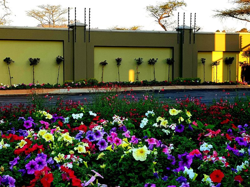 A well-maintained garden area featuring a paved driveway, perimeter wall with integrated electric fencing, and vibrant flower beds.