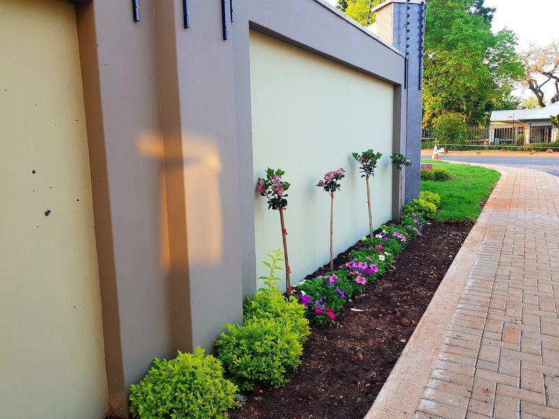 A well-maintained boundary wall featuring integrated electric fencing, complemented by a neat paved walkway and a landscaped garden bed with established shrubs.