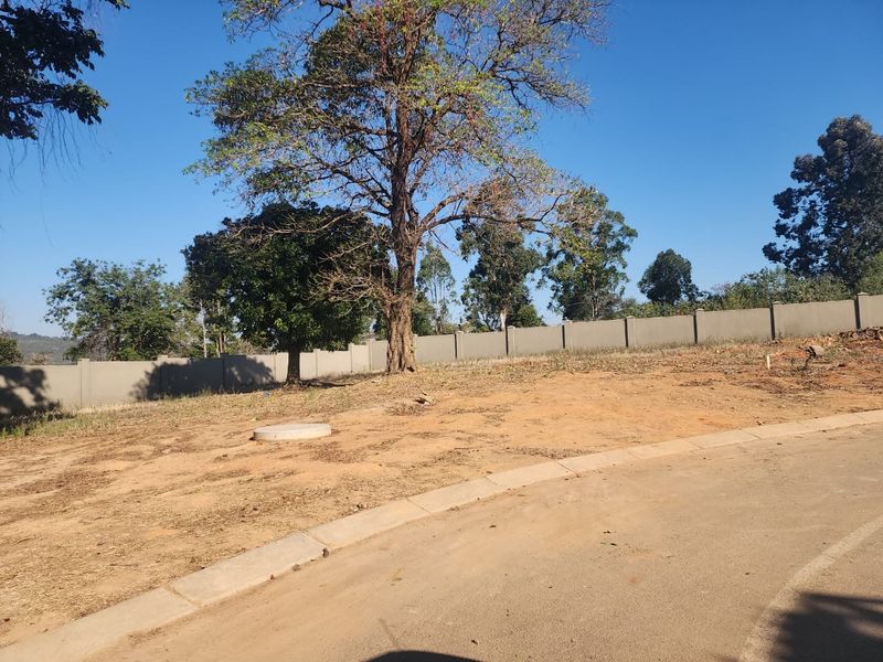 A vacant residential plot featuring a concrete boundary wall, mature trees, and direct access to the paved street curb.