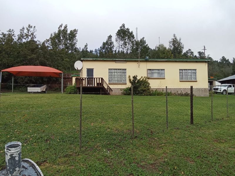 Country Living with Endless Possibilities in Beautiful Waboomskraal - Photo 3