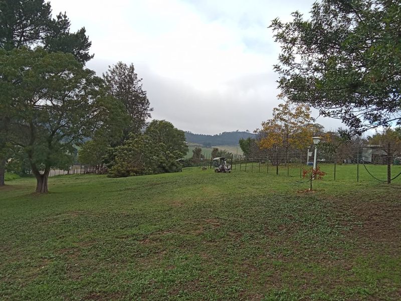 Country Living with Endless Possibilities in Beautiful Waboomskraal - Photo 2