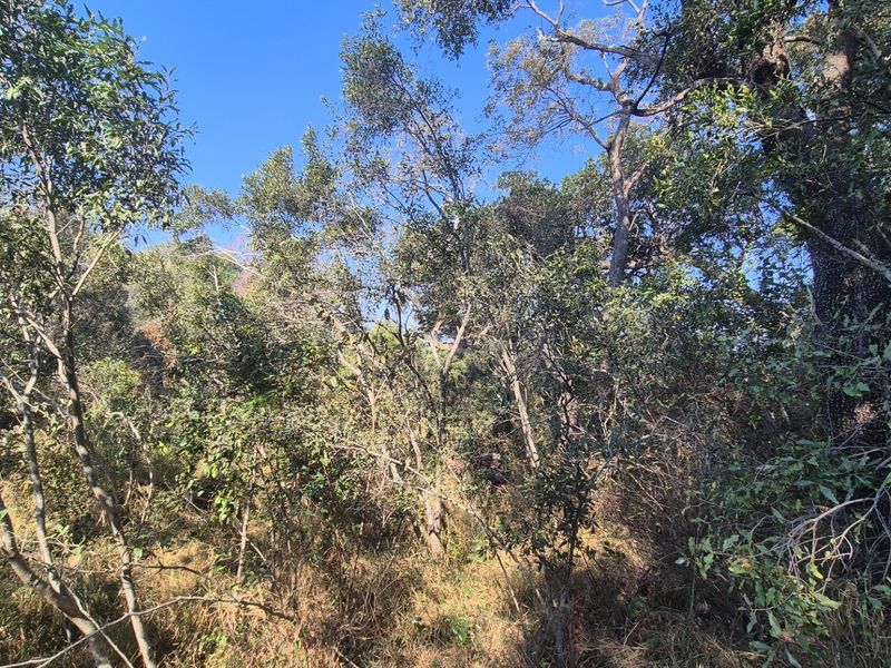 A private and secure bushveld plot on riverine in Moditlo Wildlife Estate, Hoedspruit - Photo 4