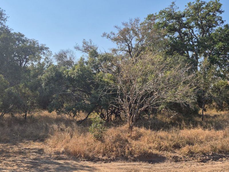 A private and secure bushveld plot on riverine in Moditlo Wildlife Estate, Hoedspruit - Photo 2
