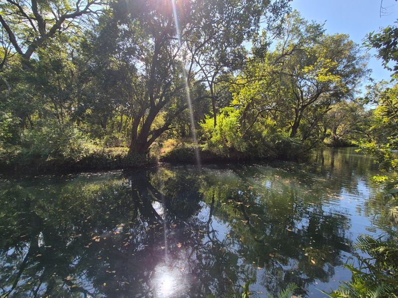 A scenic view of a tranquil river surrounded by lush, mature trees and natural vegetation, offering a peaceful and private outdoor setting.