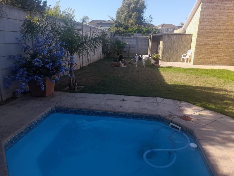 A backyard area featuring a swimming pool with paved surround, a lawn, and a boundary wall.