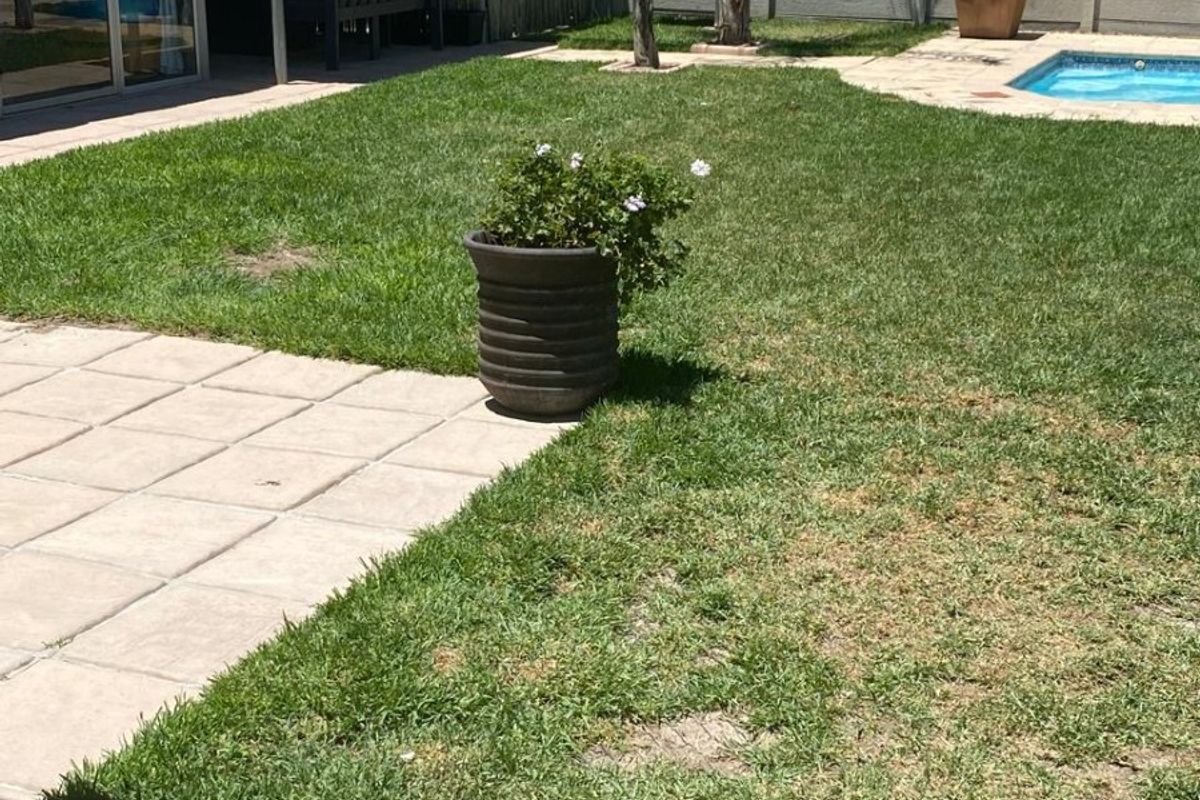 Rear garden featuring a swimming pool, paved patio area, and a covered outdoor space enclosed by precast concrete boundary walls.