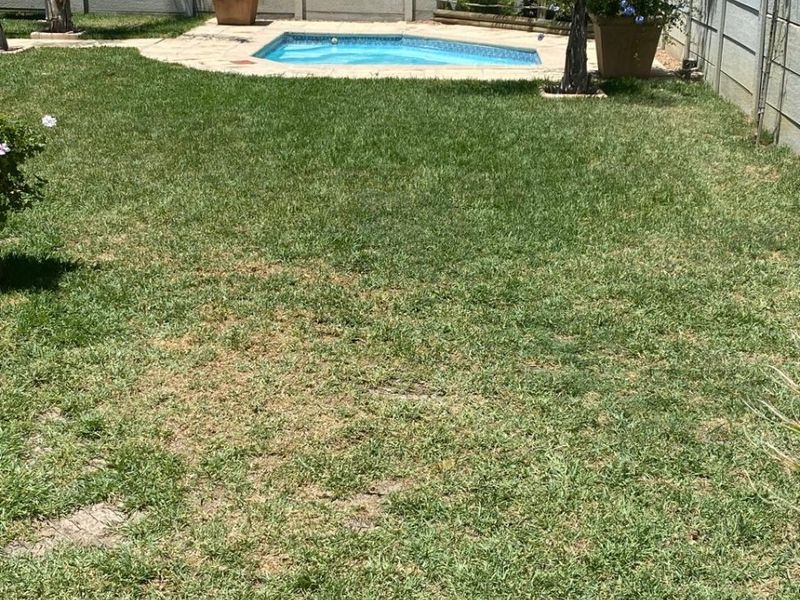 A private backyard featuring a small swimming pool, paved surround, and a lawn enclosed by high precast concrete boundary walls.