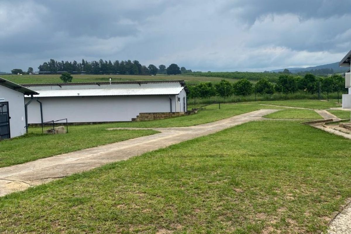 A view of the farm grounds featuring concrete pathways, expansive lawn areas, and a functional outbuilding under a cloudy sky.