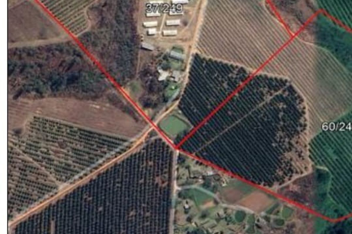Aerial view of the farm property showing the layout of orchards, farm buildings, and a dam within the marked boundaries.