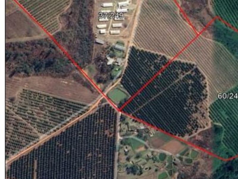 Aerial view of the farm property showing the layout of orchards, farm buildings, and a dam within the marked boundaries.