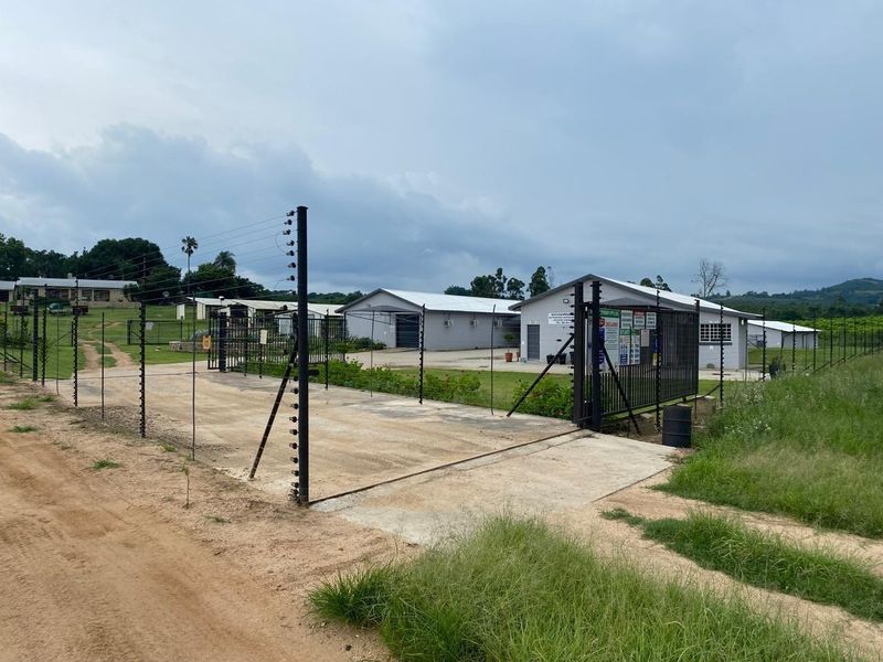 Front entrance view of a farm property featuring secure electric fencing, a concrete driveway, and multiple industrial-style outbuildings.