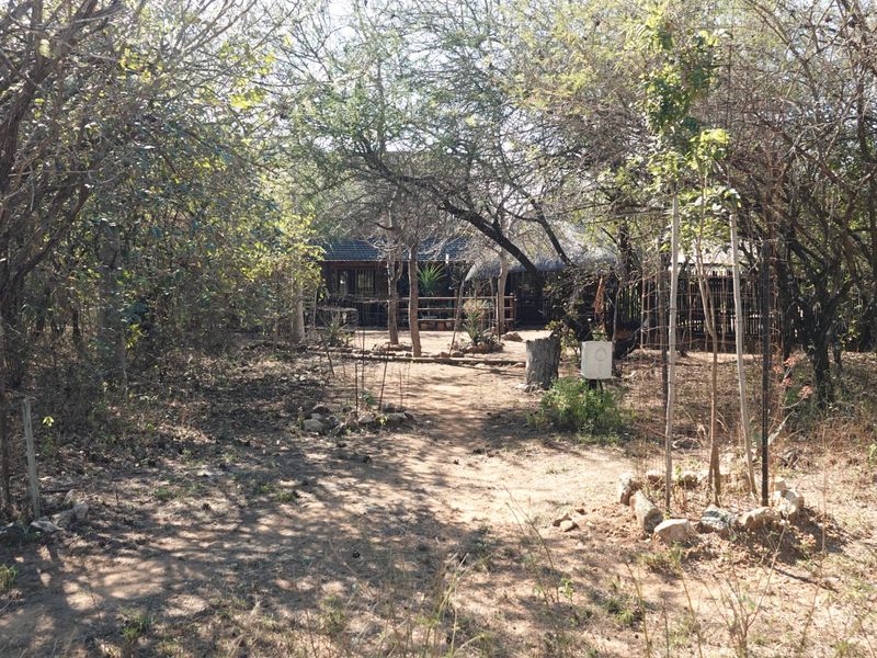 BUSH RETREAT WITH INCOME POTENTIAL - MARLOTH PARK - Photo 1