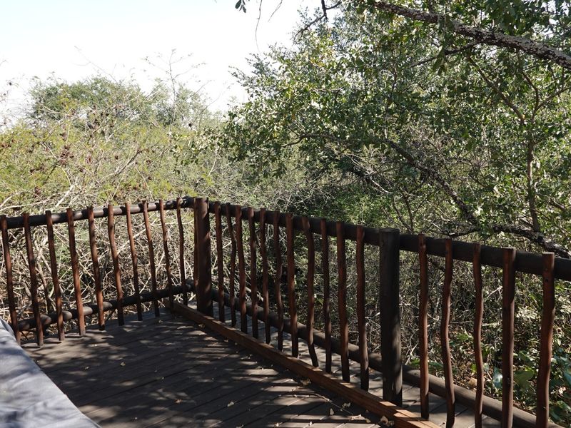 BUSH RETREAT WITH INCOME POTENTIAL - MARLOTH PARK - Photo 8