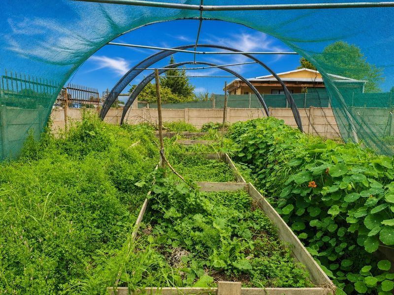 Versatile Family Home with Beautiful Garden Features - Photo 3