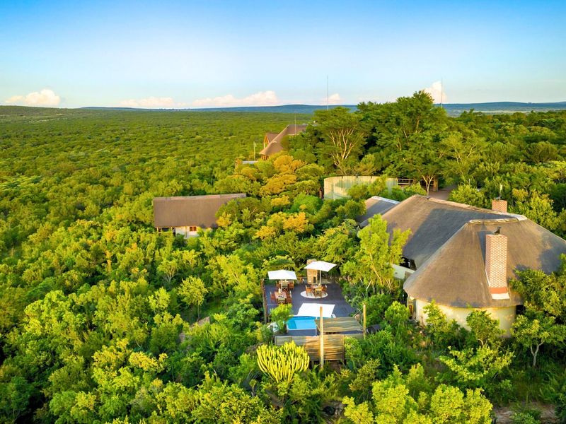 Aerial view of a luxury farm property featuring thatched-roof buildings, a swimming pool, and a timber deck nestled within a lush natural landscape.